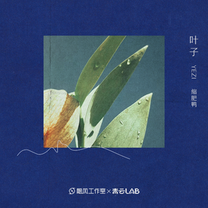 男男Gey互操视频网站
